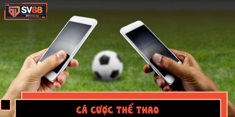 Cá cược thể thao – Đặt cược theo phong cách chuyên nghiệp