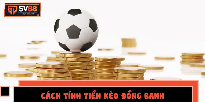 Ví dụ Minh Họa Cụ Thể:
