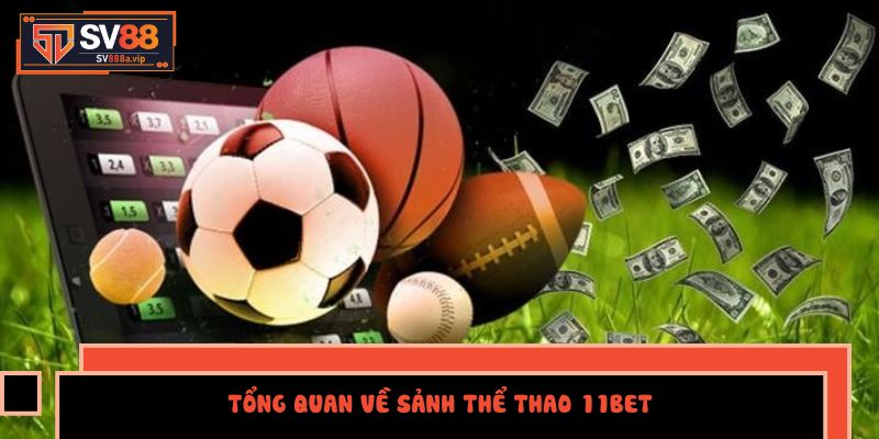 Chuyên mục thể thao nhận được sự ưa chuộng từ cộng đồng người chơi