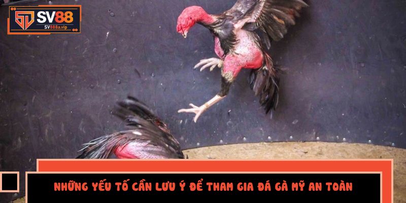 Những Yếu Tố Cần Lưu Ý Để Tham Gia Đá gà Mỹ An Toàn Và Hợp Pháp