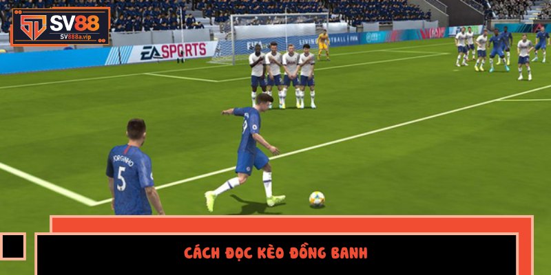 Cách đọc kèo đồng banh